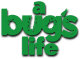 Text Version